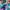 OFNDM-8_300x300_acf_cropped