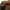 Dosman-by-Wohler-Co-aspect-ratio-1500-1365