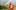 Raiatea Helm stands in red dress with ukulele in front of hawaiian mountains